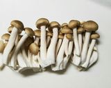 じゃがいもとしめじとチーズのベーコン巻串作り方1写真