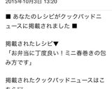 お弁当に丁度良い！ミニ春巻きの包み方です作り方12写真