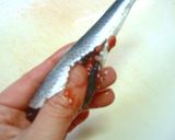 お洒落になりたい鰯の☆和風カルパッチョ♪作り方3写真