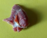 砂肝の柔らか煮作り方3写真