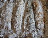イワシの竜田焼き作り方5写真