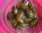 旨い‼︎バイ貝の煮付け〜残り汁は絶品‼︎作り方1写真