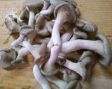 高野豆腐で 簡単！ オクラ餡のハンバーグ作り方4写真