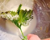 季節の香り♪しその葉、花、実の天ぷら。作り方3写真