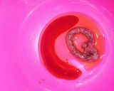 ササミと胡瓜を梅和え作り方2写真