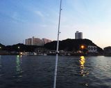 本カワハギの刺身と肝醤油σ(^_^;)作り方1写真