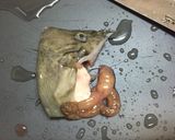 本カワハギの刺身と肝醤油σ(^_^;)作り方9写真