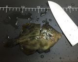 本カワハギ刺身肝醤油海鮮丼(o^^o)作り方4写真
