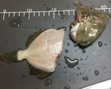 本カワハギ刺身肝醤油海鮮丼(o^^o)作り方5写真