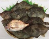 チダイ塩焼きミョウガパセリのまぜごはん!作り方2写真