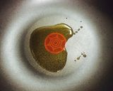 カレー風味・ブラックオリーブ!作り方2写真