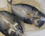播州秋祭りの鯖寿司 覚書作り方3写真