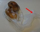 圧力鍋で減塩ひじきの煮物作り方2写真