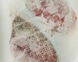 ブリの照焼作り方4写真