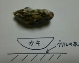簡単☆殼つき牡蠣の魚焼きグリル焼き作り方2写真