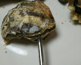 簡単☆殼つき牡蠣の魚焼きグリル焼き作り方7写真