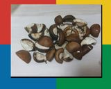 芋煮会にサイドメニュー烏賊ゲソ焼き作り方3写真
