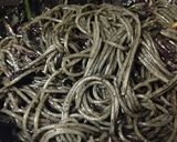 真っ黒 本格！だけど簡単！イカスミパスタ作り方9写真