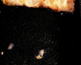 フワフワには自信あり!母の卵焼き作り方4写真