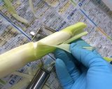 マコモタケ◇簡単◇おひたし作り方3写真