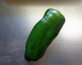 最速のピーマンのコンテナ作り方1写真