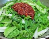 白菜浅漬けの作り方作り方4写真