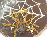 ハロウィンにドライ アプリコットの蜘蛛作り方6写真
