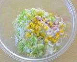 春キャベツをぎゅっと丸めてフライパン蒸し作り方3写真