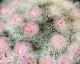 紫芋の もちもち ドーナッツ作り方5写真