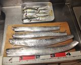 【釣食】太刀魚の梅しそ巻き作り方1写真