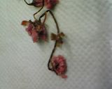 手軽に和菓子♪関東風の桜餅作り方1写真