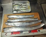 【釣食】太刀魚のムニエル作り方1写真