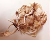 簡単 おつまみ 舞茸のホイル焼き作り方1写真