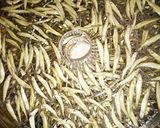 【犬おやつ】ワカサギ煮干作り方2写真