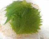 キムチ＆テンペの多国籍ライスバーガー作り方6写真