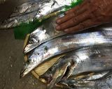 太刀魚のガーリックオリーブバタームニエル作り方2写真