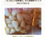 本格らっきょう甘酢漬け作り方9写真