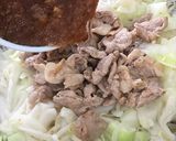 豚肉のジンギスカン風炒め作り方6写真