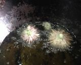 食用菊の天ぷら　きれいに作るには作り方7写真