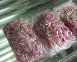 食用菊の基本の使い方と保存方法作り方10写真