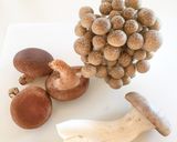長芋ホワイトソース☆きのこグラタン作り方1写真