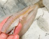 第3話 きすと彩り野菜の甘酢あんかけ 作り方17写真