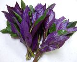 金時草（きんじそう）とタコの酢の物作り方1写真