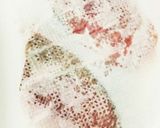 ブリの唐揚げ作り方1写真