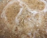 簡単‼︎胸肉のさっぱりみぞれ煮♪作り方2写真