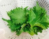 巻いて焼くだけ★豚肉の梅しそチーズ巻き作り方2写真