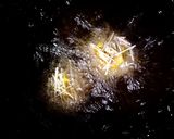 ハロウィン★かぼちゃコロッケ作り方8写真