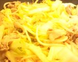 お酢でさっぱり！豚肉白菜もやしの炒めもの作り方2写真