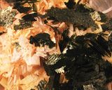 コレなら食べた！大根と白菜和風ツナサラダ作り方3写真
