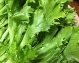【冷凍保存可能！】そば粉のガレット作り方11写真
